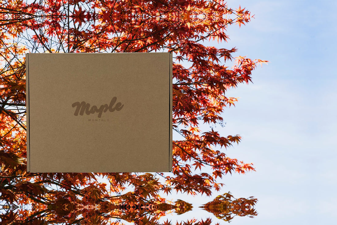 5 Reasons Why You Need Maple Monthly
