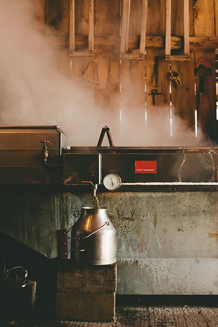 Steaming maple syrup machine in a rustic setting with wooden walls and steam rising.